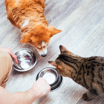WCF Cat & Dog Food Feeding Guides